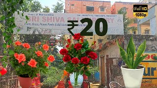 BIGGEST PLANTS NURSERY IN HYDERABAD AT CHEAPEST PRICES ROSE PLANTSMEDICINES PLANTS🔥🔥🔥🔥 [upl. by Nauqe]