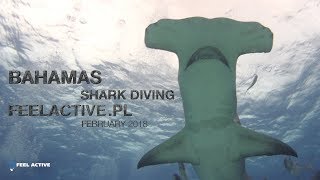 Shark diving Bahamas 2018 [upl. by Anurag317]