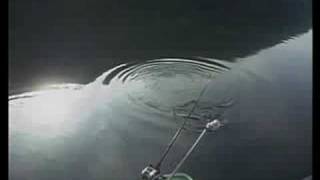 Walleye fishing southern style trolling deep in summer [upl. by Yelrah]