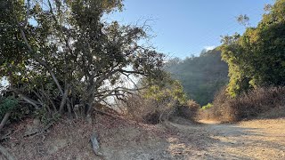 3 Runyon Canyon Hikes October 2024 [upl. by Steinway]