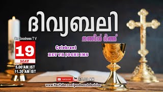 HOLY MASSLATIN MASS 19 MAY 2024  REV FR JOSHI IMS  MALAYALAM QURBANATODAY MASSGOODNESS TV [upl. by Nevart]