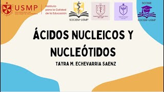 Química  Sesion 13  Acidos Nucleicos y nucleotidos Tayra Echevarria  APP 2024II [upl. by Izmar]