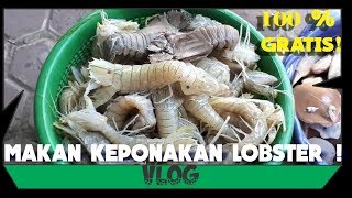 Seafood UDANG ronggeng [upl. by Aihsram577]