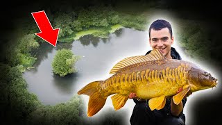 How To Approach a New Water And Catch More Carp [upl. by Anawait]