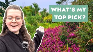 My 10 BEST Spring Flowering Plants At RHS Harlow Carr [upl. by Merras]