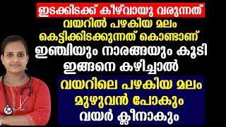 ഇഞ്ചിയും നാരങ്ങയും കൂടി ഇങ്ങനെ കഴിച്ചാൽ വയറിലെ പഴകിയ മലം മുഴുവൻ പോകും വയർ ക്ലീനാകും  Healthy Tips [upl. by Ashbaugh]