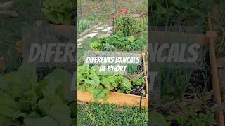 Bancals de lhort acer fusta troncs i palets hort gardening [upl. by Ana]