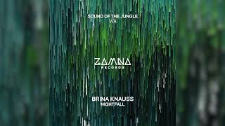 Brina Knauss  Nightfall Zamna Records [upl. by Esimaj]