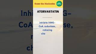 Atorvastatin Mechanism [upl. by Yr927]