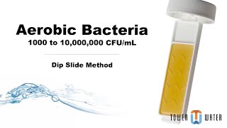 How to Test for Aerobic Bacteria Using the Dip Slide Method [upl. by Ellitnahc]