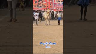 Pragathi Resorts Team court entry at Darmavaram [upl. by Klusek577]