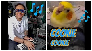 Cookie Cookie ft Ginger the Cockatiel The Dancing Cockatiel Who Can Talk [upl. by Romain]