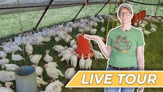 Pastured Poultry Farm Tour at Heifer Ranch [upl. by Vada28]