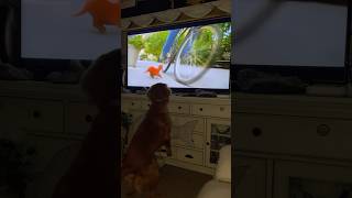 SCOOBY SEES CLIFFORD🐶 youtubeshorts dogshorts doglife scoobydoo cliffordthebigreddog [upl. by Ylhsa]