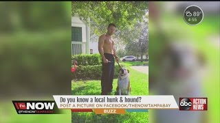 Hunks and hounds on The Now Tampa Bay [upl. by Dimphia]