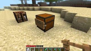 Minecraft Bug lockette [upl. by Bekaj896]