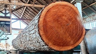 Amazing Sawmill Skills  300 Years Old Tree Mahogany In The Sawmill [upl. by Rosalinda]