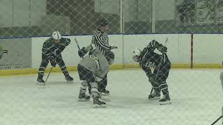 2024 Hockey vs Elyria Catholic [upl. by Stacey]