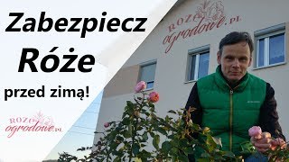 Jak zabezpieczyć róże w ogrodzie przed zimą [upl. by Berghoff]