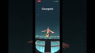 Getting gourgeist in pokemon go [upl. by Aicatan]