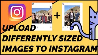 How to Upload Multiple Photos without Cropping to Instagram [upl. by Eneg21]