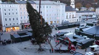 Salzburger Christkindlmarkt Christbaum Aufgestellt [upl. by Nelloc]