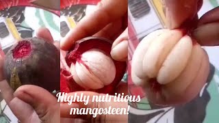 MOUTHWATERING AMAZING fruit Mangosteen😍🤤 Lets cut  ASMR fruit [upl. by Coco]