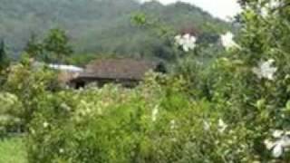 Bukit Berbunga  Uci Bing Slametmp4 [upl. by Neladgam739]