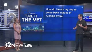 Brett the Vet answers your vet questions and more [upl. by Reifinnej]