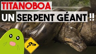 TITANOBOA  Le plus grand SERPENT ayant jamais existé [upl. by Novelc]