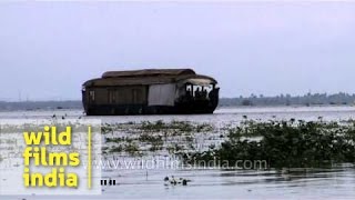 Houseboat sails on Vembanad Lake  India [upl. by Ru191]