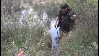 Foothold Traps and Lenon Lure Beaver Trapping  Nuisance Beaver Removal [upl. by Imtiaz]