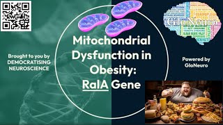 Mitochondrial Dysfunction in Obesity and RalA gene [upl. by Anaerda303]