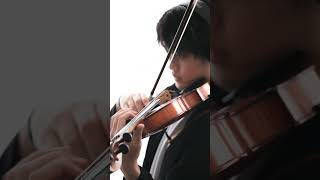 “In the Palace  Lamentoso” from HUNTER x HUNTER shorts hunterxhunter 冨樫義博 平野義久 cover violin [upl. by Aiouqes]