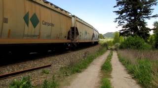 Canadian Pacific Railway Tappen BC [upl. by Woodrow]