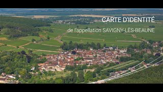 Carte didentité de lappellation SavignylèsBeaune [upl. by Nnayllas246]