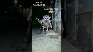 Real Bhoot Bangla  Bhoot Ringtones  Bhutiya Status 😱 😱Horror Whatsapp Status shortsbhoot [upl. by Herrick]