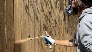 Applying wood defender leatherwood stain on a wooden fence restoration satisfying [upl. by Kira]