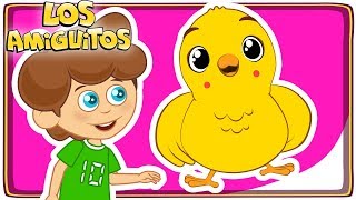 Pollito Amarillito 🐥 y muchas máss cancion infantil  Los Amiguitos [upl. by Niklaus991]