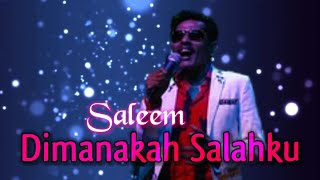 SALEEM  Dimanakah Salahku  Video Lirik [upl. by Dani]