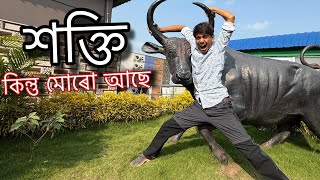 শক্তি মোৰো আছে  No Puja vlog but Birthday vlog 😜 [upl. by Aneba425]