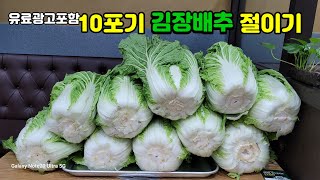 1김장배추 10포기 쉽게 절이는방법과 황금비율 염도와 절이는시간💥생배추절임배추 주문받습니다 [upl. by Atlas]