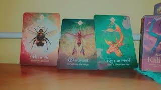 Spirit Animal Oracle Message for you tarotreading tarot asmr psychictarot ytviral [upl. by Leiuqese]