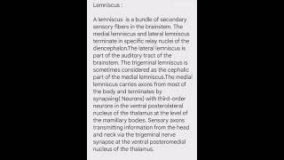 Lemniscus  Brain Stem  HypoThalamus [upl. by Thgiled633]