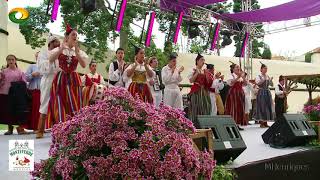 BAILINHO DA MADEIRA  Grupo de Folclore Monteverde na Festa do Vinho Madeira 2018 [upl. by Schnabel]