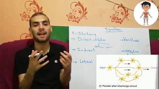 Nerd Physiology 707CNS3Synapses Follow Neuron pool processing  NeurotransmittersMedical [upl. by Uolymme]