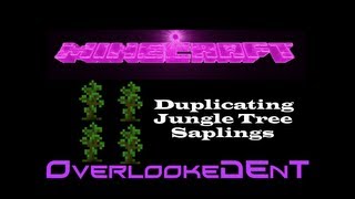 Duplicating Jungle Tree Saplings  Minecraft Xbox 360PS3  Tutorial [upl. by Eilujna]