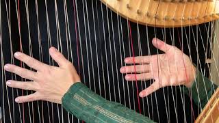 Bourrée Haendel played on crossstrung chromatic harp 66 by Reidun Schlesinger [upl. by Mulloy]