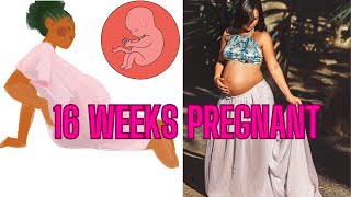 16 WEEKS PREGNANT WHAT TO EXPECT WEEK BY WEEK [upl. by Aneloj736]