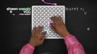 Shawn Wasabi  BURNT RICE Original Song [upl. by Nemzzaj]